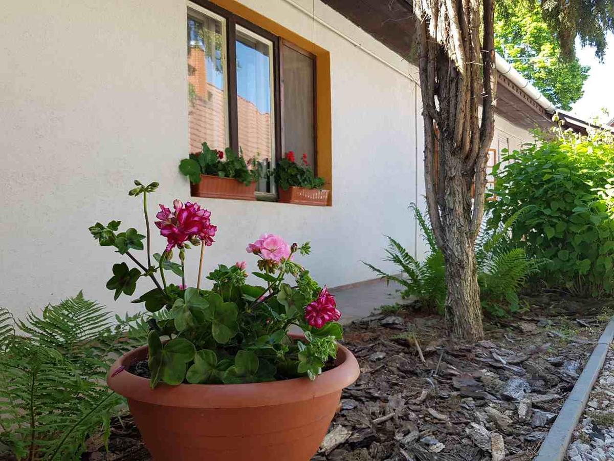 Kuti Vendeghaz Hotell Bakonykuti Exteriör bild