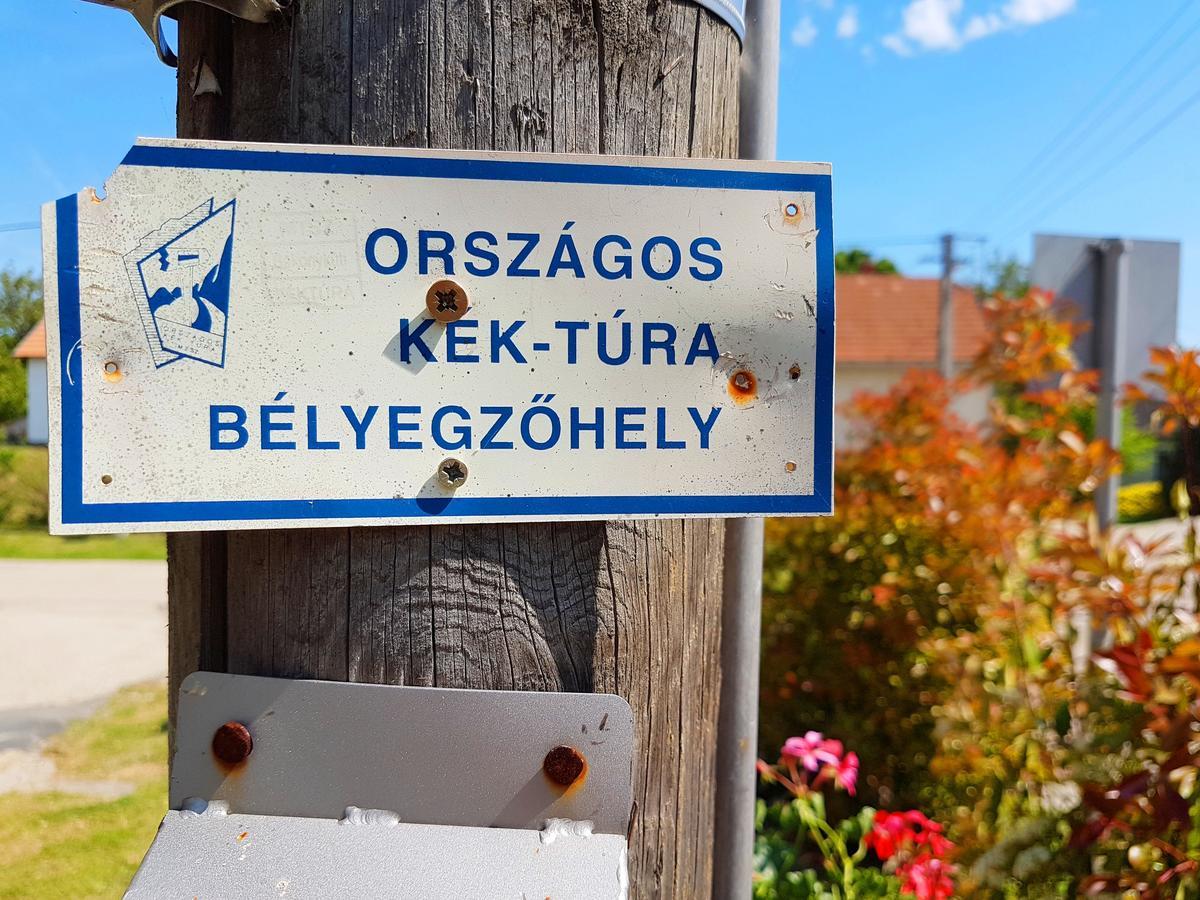 Kuti Vendeghaz Hotell Bakonykuti Exteriör bild